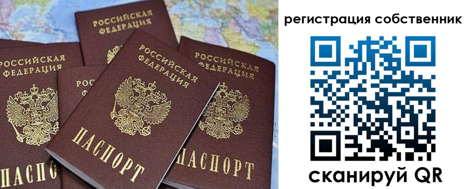 прописка для школы в Луге
